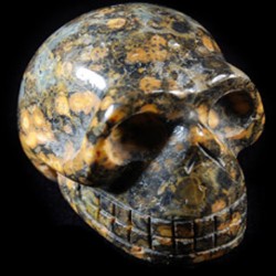 Jaspis luipaard schedel