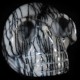 Jaspis Zebra web schedel