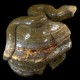 Oceaan Jaspis druzy