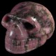 gestreept-Rhodoniet-schedel