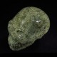 Jaspis Algae