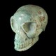 clinochloor schedel