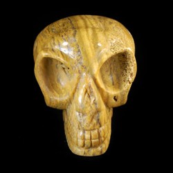 Druzy Oceaan Jaspis schedel