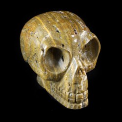 Druzy Oceaan Jaspisalien elfen schedel