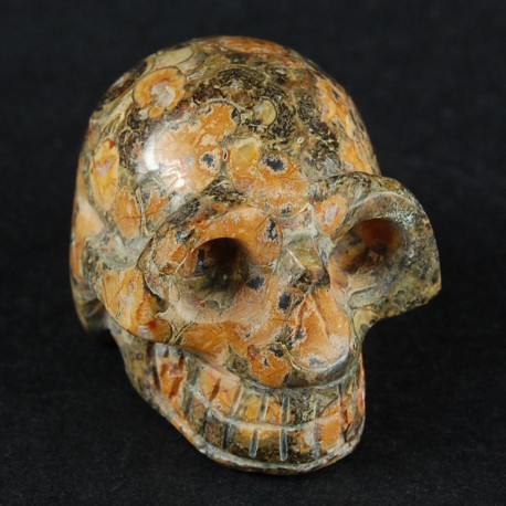 schedel luipaard Jaspis 