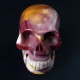 New skull Mookaiet schedel