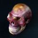 New skull Mookaiet schedel