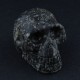 Hornblende-schedel
