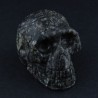 Hoornblende schedel