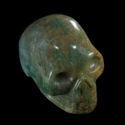 Buddstone (afrikaans Jade) schedel