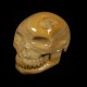 bruin-Chalcedon-schedel 