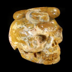 Crazy Lace Agaat schedel