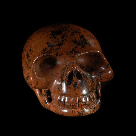 New skull Mahonie Obsidiaan