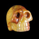 crazylace schedel