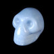Angeliet (Engelensteen) schedel
