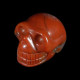 Chalcedon speciaal schedel