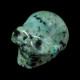 afrikaans Turkoois schedel