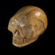 picture jaspis schedel
