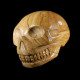 picture jaspis schedel
