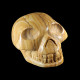  picture Jaspis schedel