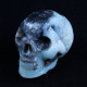 Amazoniet-schedel