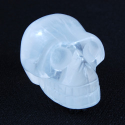 Seleniet-schedel