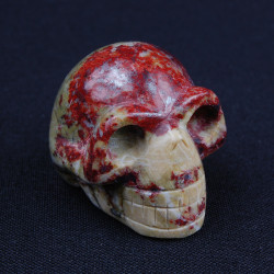 Jadoucillo-schedel