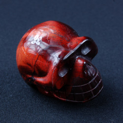 rood tijgeroog schedel